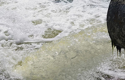 工業廢水的分類我們知多少